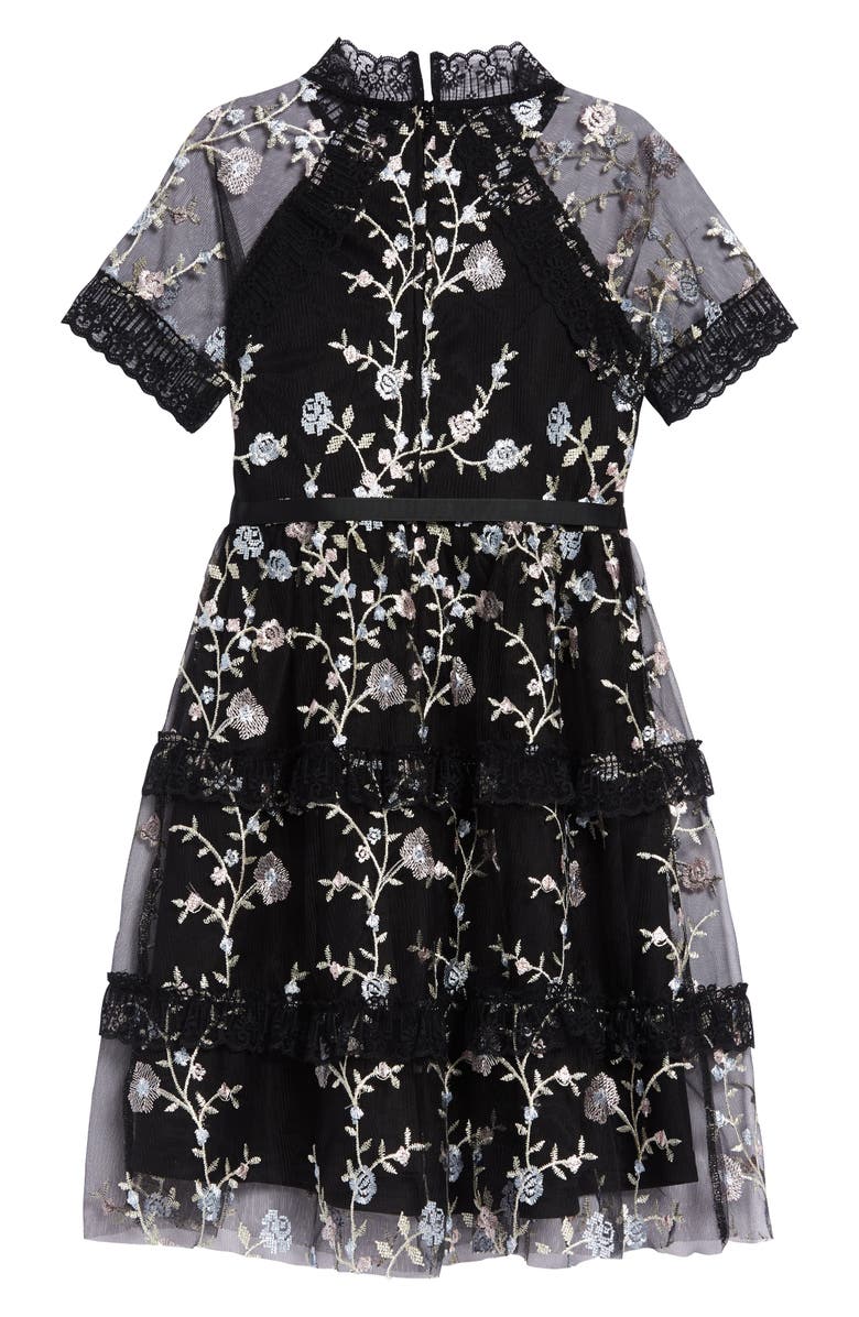 BLUSH by Us Angels Embroidered Mesh Dress, Alternate, color,