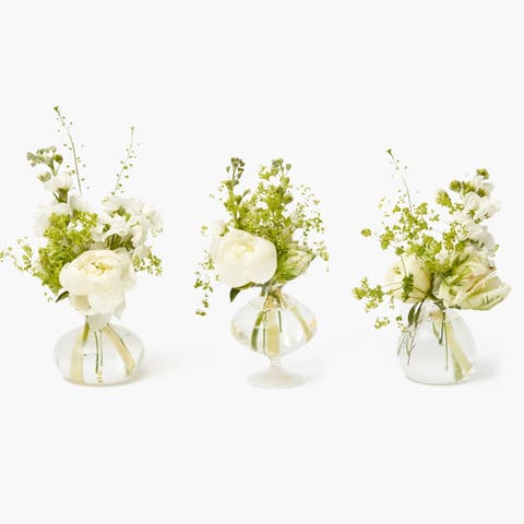 Grace Bud Vase (Set of 3)