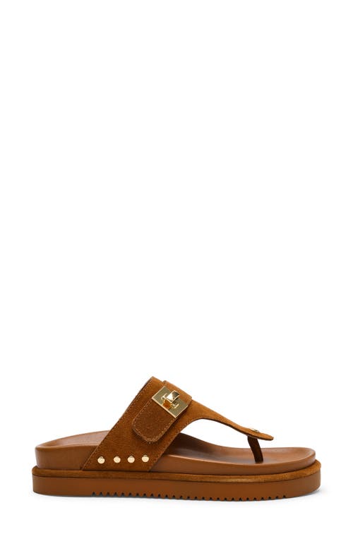 Steve Madden Thona Platform Sandal In Chestnut Suede