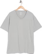 True Classic Short Sleeve V-Neck T-Shirt