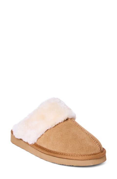 Chesney Mule Slipper (Women)