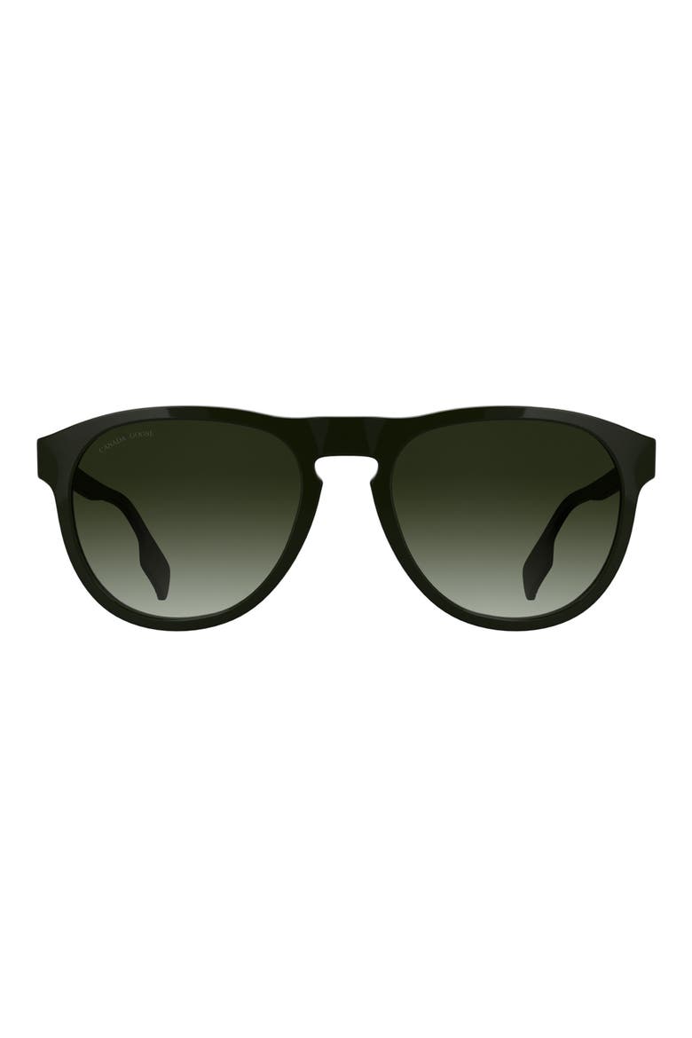 Disc Logo 55mm Oval Sunglasses, Main, color, BLACK/ KHAKI