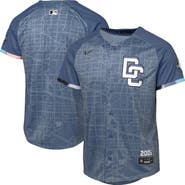 Nike Youth Nike Blue Washington Nationals 2025 City Connect Limited Jersey