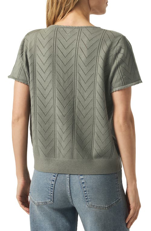 Splendid Sabrina Pointelle Short Sleeve Sweater In Green