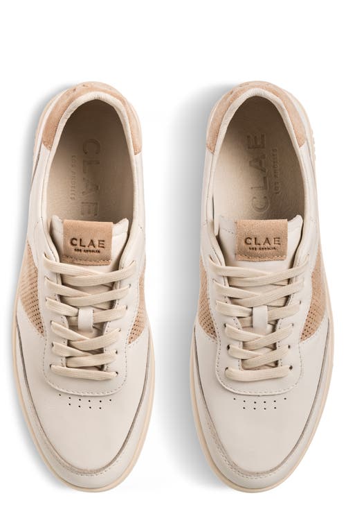 Clae Davis Perforated Low Top Sneaker In Offwhite Safari