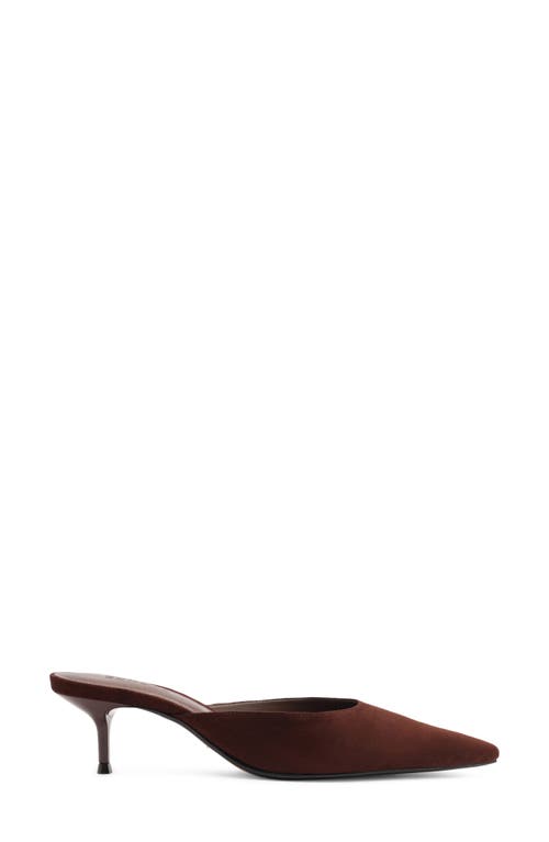 Schutz Julie Pointed Toe Mule In Brown