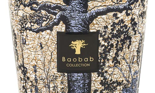 Baobab Collection Max 10 Sacred Trees Séguéla Scented Candle In Sgula