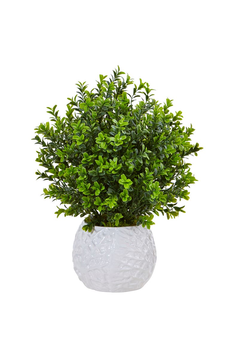 NEARLY NATURAL Boxwood Evergreen Artificial Plant in White Vase, Main, color, Green