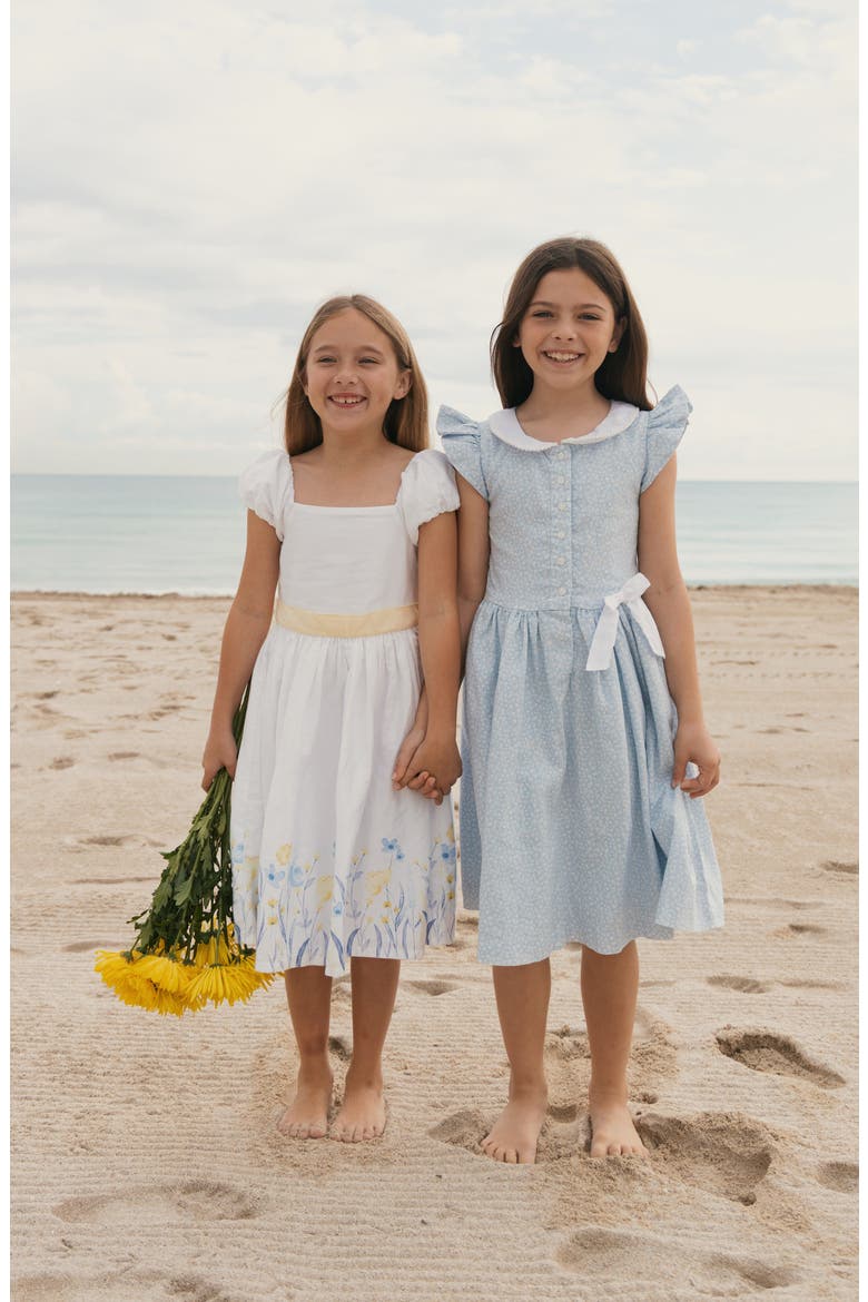 Kids' Ruffle Sleeve Linen Dress with Peter Pan Collar, Alternate, color, Blue Chateau Ditsy