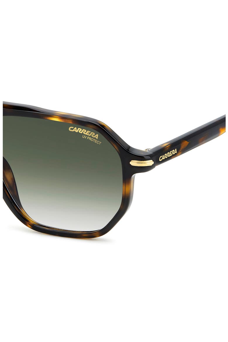 Carrera 54mm Rectangular Sunglasses, Alternate, color, HAVANA GOLD/ GREEN SHADED