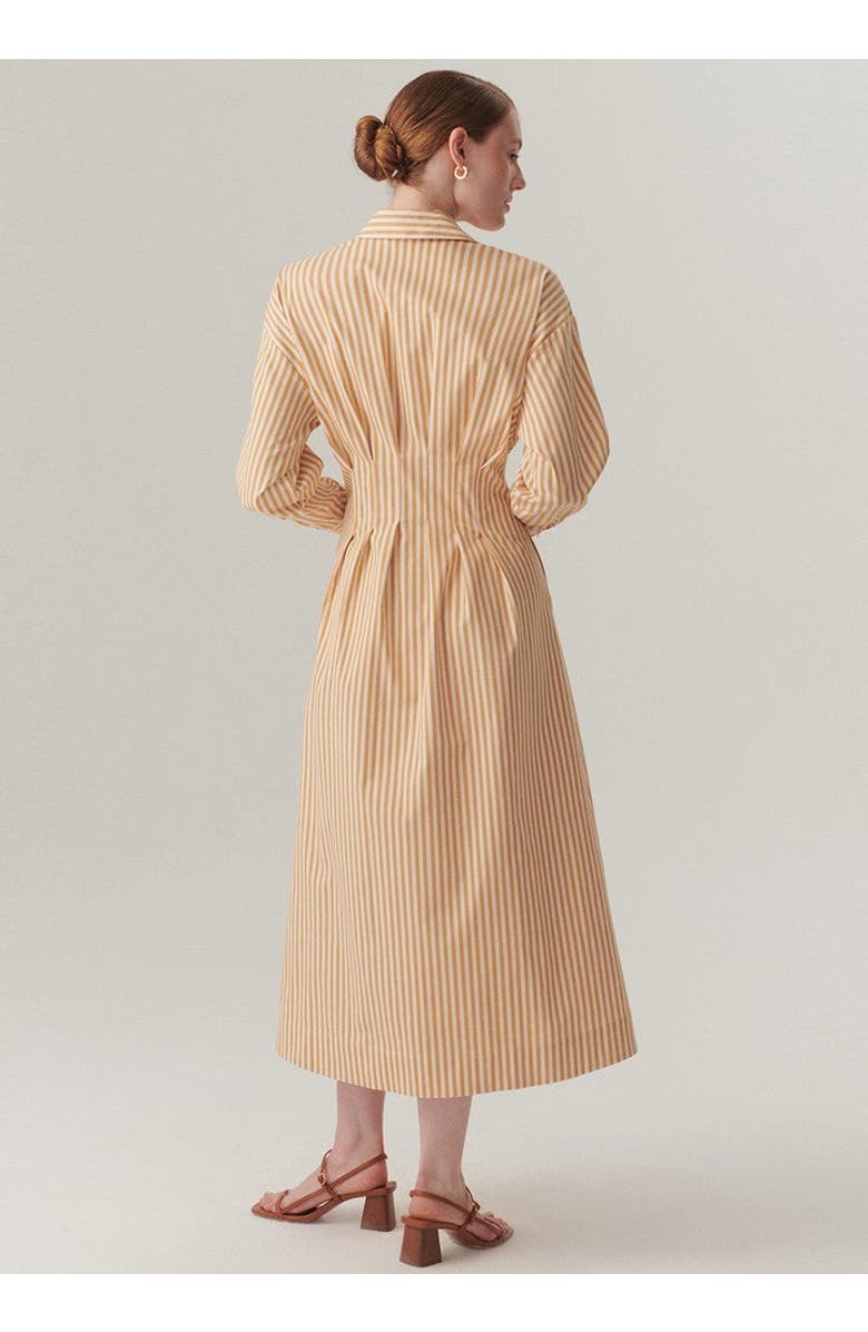 Exquise Waist Shirt Collar Midi Dress, Alternate, color, Camel Beige