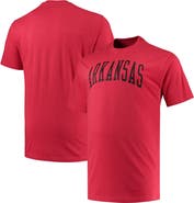 Champion Men's Champion Cardinal Arkansas Razorbacks Big & Tall Arch Team Logo T-Shirt