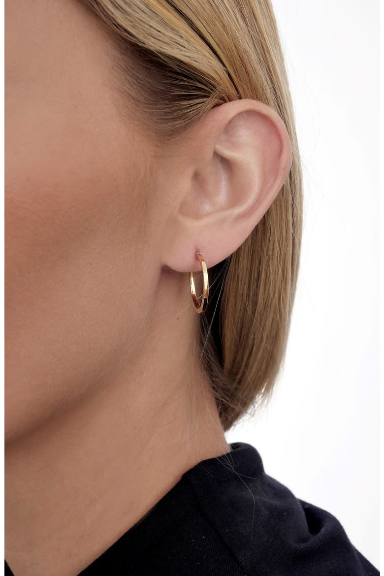 14K Gold Hoop Earrings, Alternate, color, 14KY