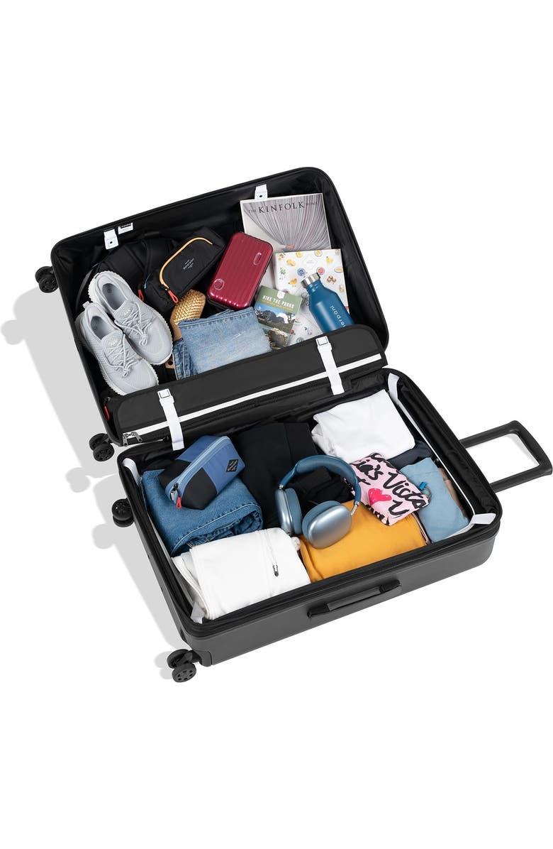 Sherpani Meridian 29 Inch Large Check In Travel Hardside Luggage with Spinner Wheels, Chromatic, Alternate, color, Sage