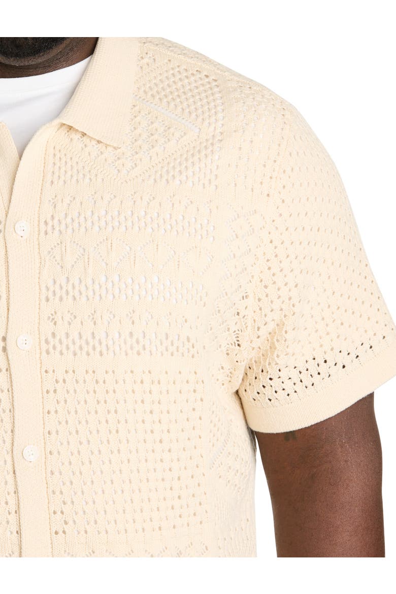 Big & Tall Crochet Button-Up Sweater, Alternate, color, WHITECAP