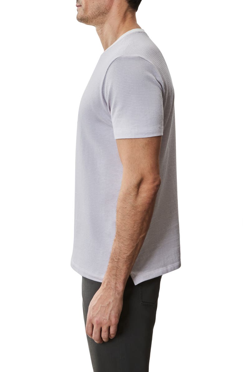Robert Barakett Fitch Feeder Stripe Rib Trim T-Shirt, Alternate, color, Lavender