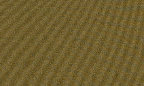 Pacsun Santa Monica Embroidered T-shirt In Green
