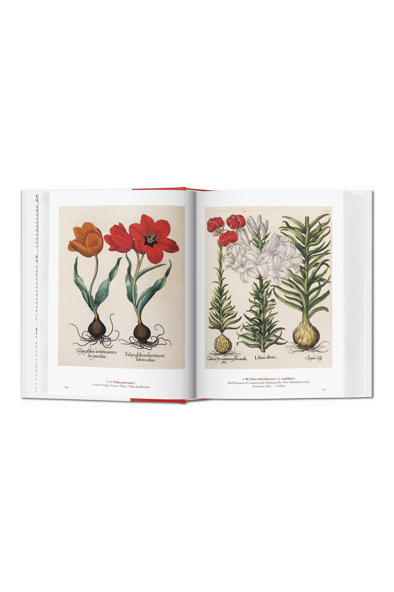 A Garden Eden Masterpieces of Botanical Illustration 45th Edition Book, Alternate, color, Off-White