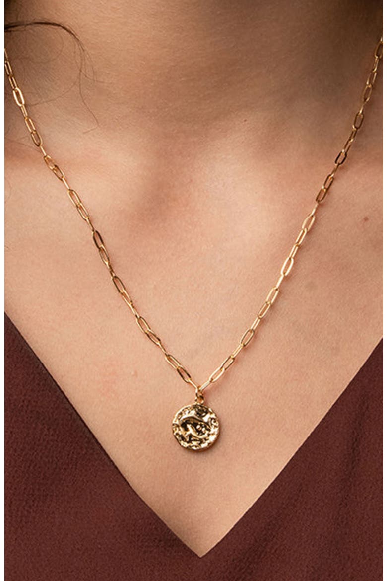 14k Gold Plated Constellation Chain Necklace 12 Zodiac Signs Gift Guide, Alternate, color, Scorpio