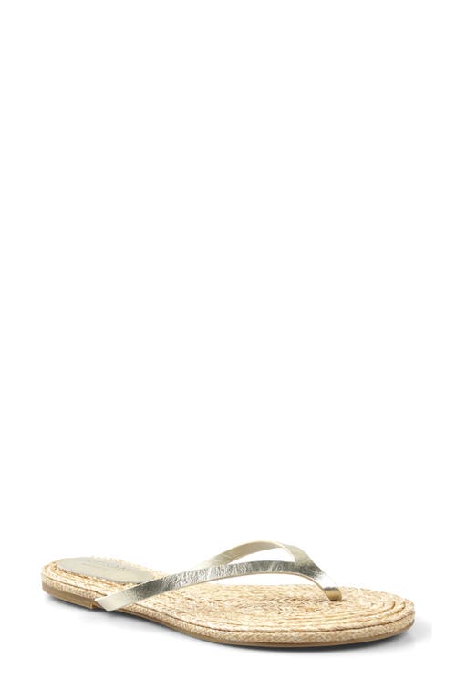 Artisan Crafted By Zigi Esterr Leather Flip Flop In Gold