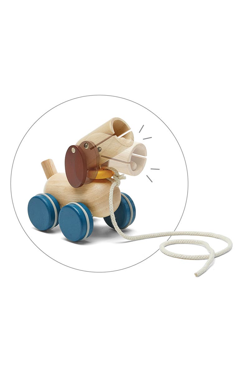 PlanToys<sup>®</sup> Puppy Push & Pull Toy, Alternate, color, Assorted