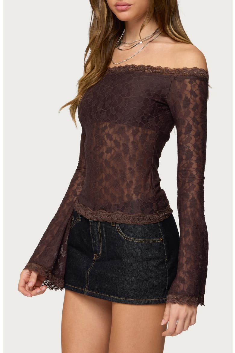 Off the Shoulder Sheer Lace Top, Alternate, color, BROWN