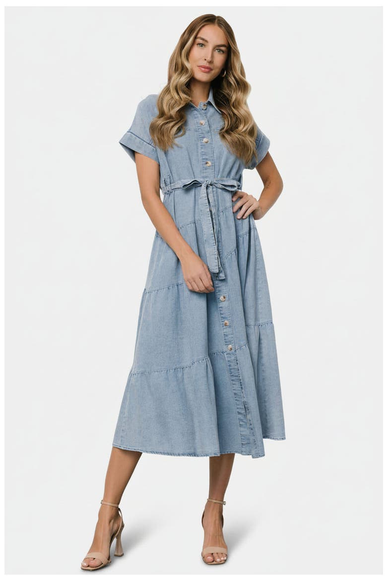 Logan Button Up Dress, Main, color, Denim
