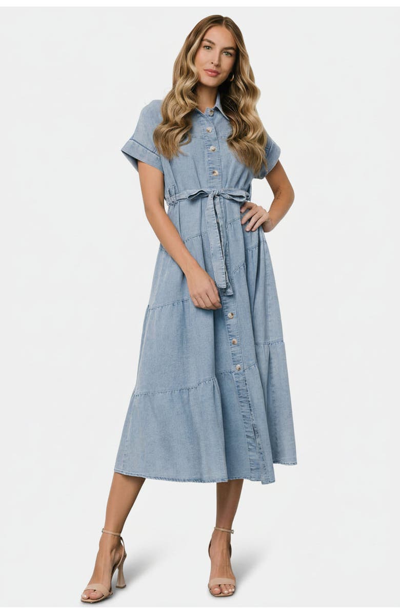 Baltic Born Logan Button Up Dress, Main, color, Denim