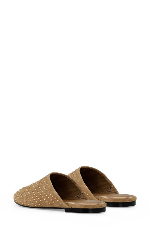 Rebecca Minkoff Studded Mule In Brown