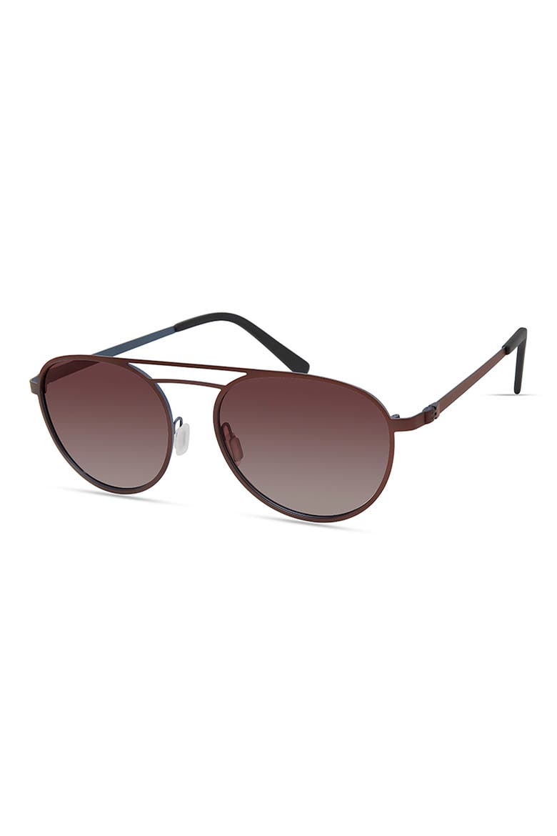 Aviator Sunglasses, Alternate, color, BROWN