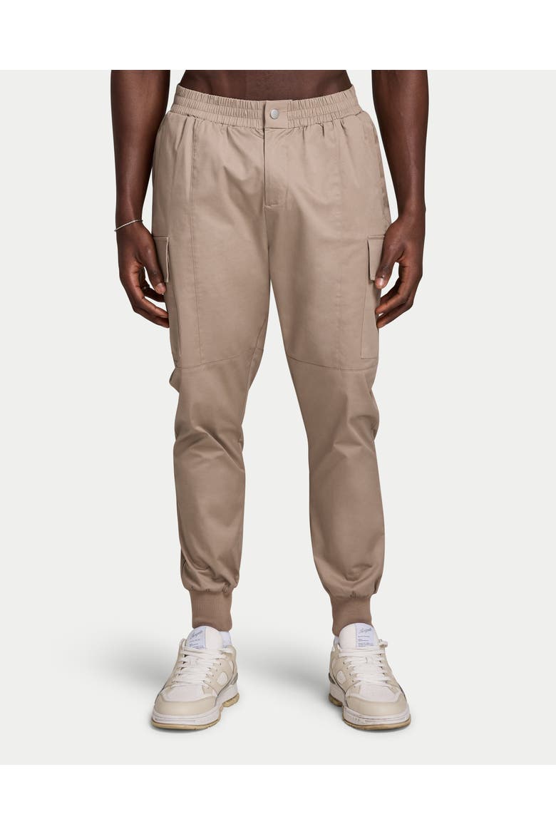 Utility Tapered Leg Cargo Trousers, Main, color, Stone