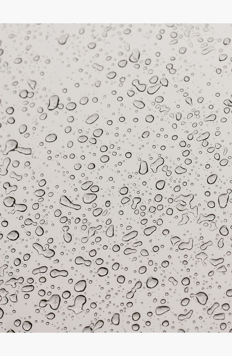 botanicary No. 2 REFRESH Orchid Stem Cell & Vitamin C Essence Facial Mist, Alternate, color, Brown