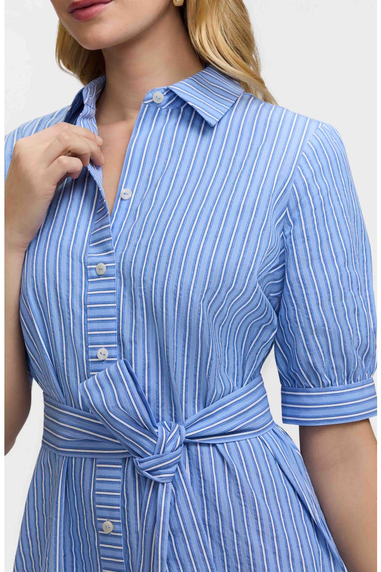 Esther Belted Stripe Cotton Shirtdress, Alternate, color, BLUE/ MULTI