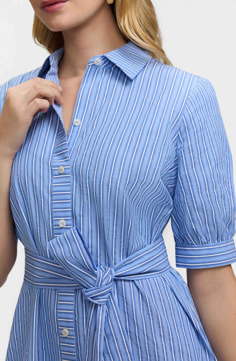 Foxcroft Esther Belted Stripe Cotton Shirtdress, Alternate, color, Blue/ Multi