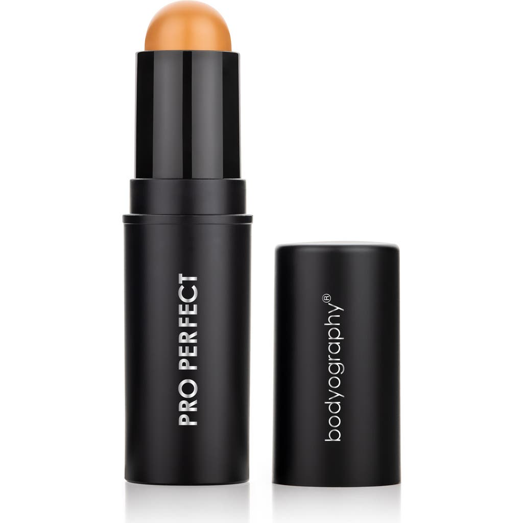 Shop Bodyography Pro Perfect Foundation Stick Cream -light/neutral Yellow 0.31oz In Maple