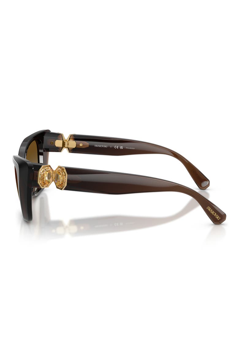 54mm Polarized Cat Eye Sunglasses, Alternate, color, TRANSPARENT BROWN / POLAR