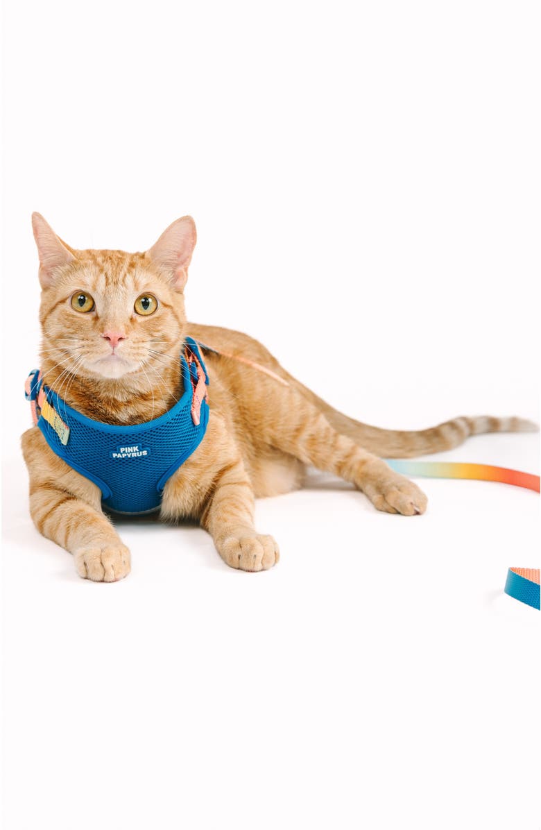 Pink Papyrus Atlas Cat Harness and Leash Set, Alternate, color, Atlas