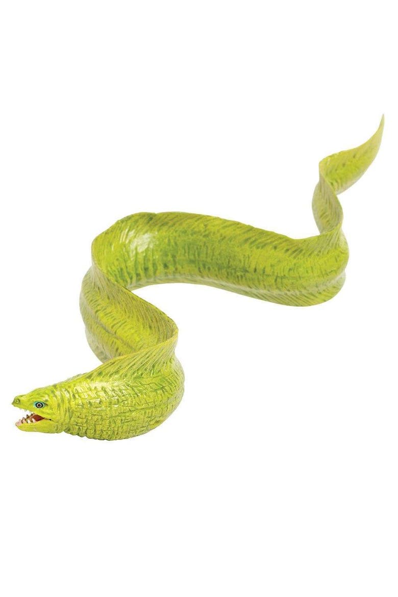 Moray Eel Toy, Alternate, color, No Color
