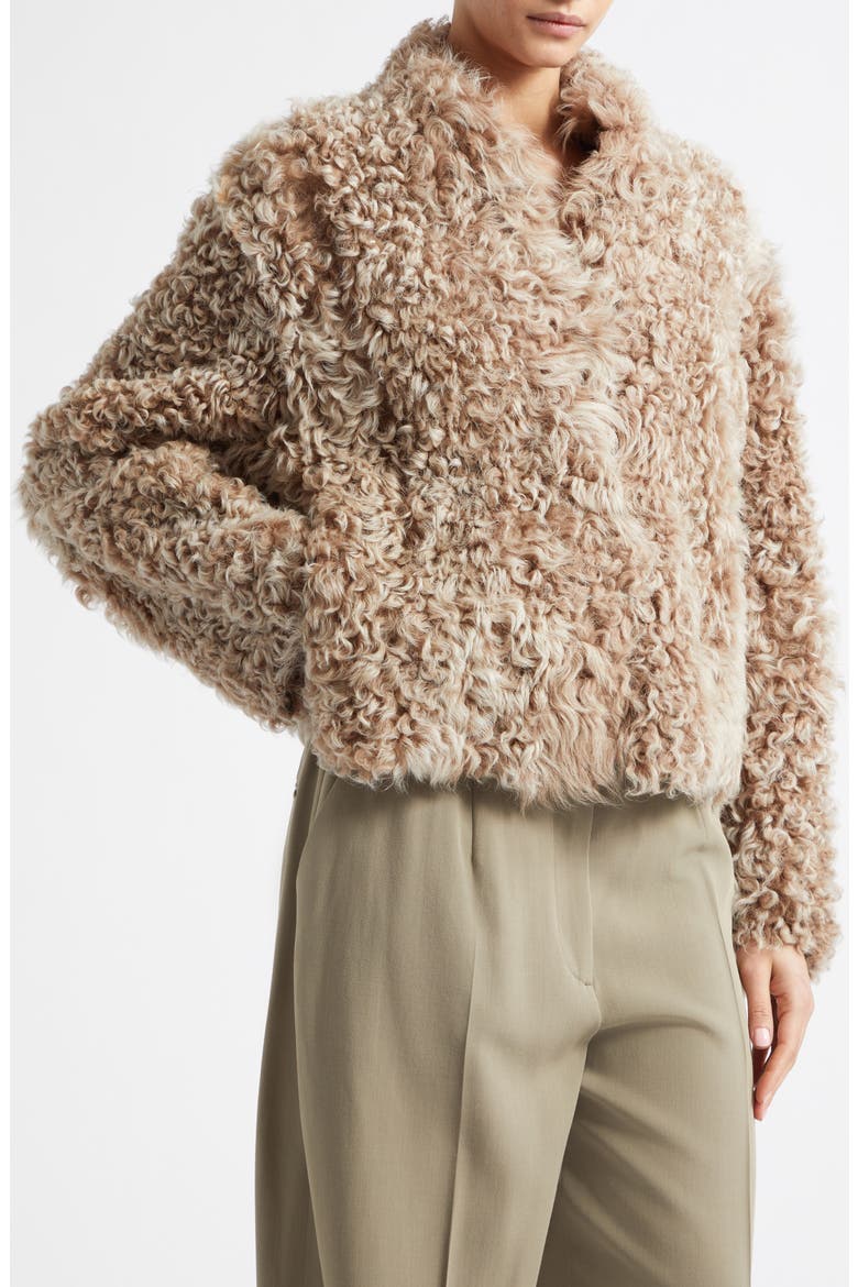 Mooneyforest Vega Genuine Shearling Jacket, Alternate, color, CAMEL