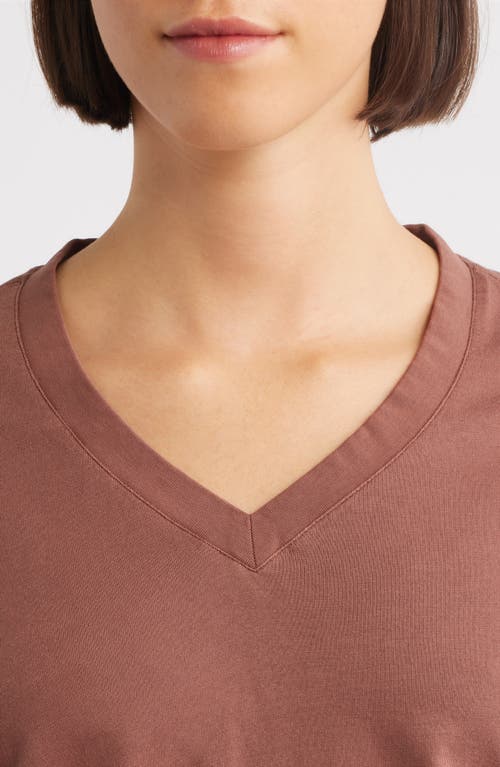 City Blues Beth Long Sleeve T-shirt In Brown