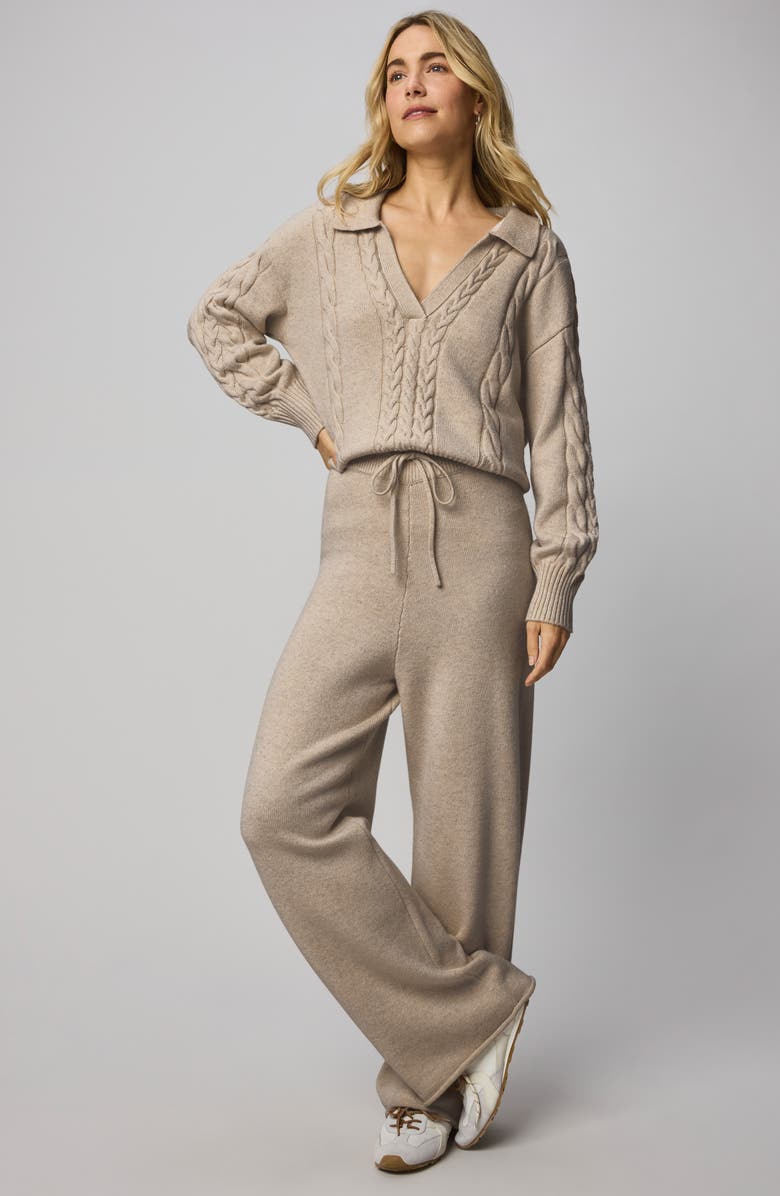 Splendid Jet Set Cable Stitch Polo Sweater, Alternate, color, Cappuccino Brown