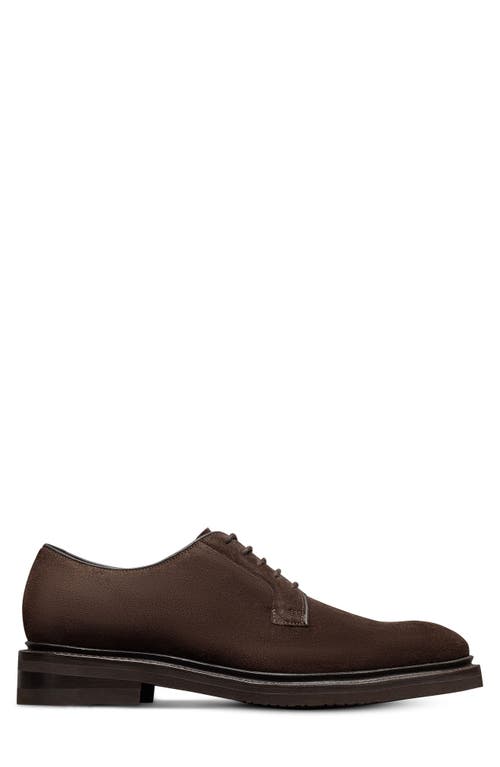 Allen Edmonds Devin Derby In Brown