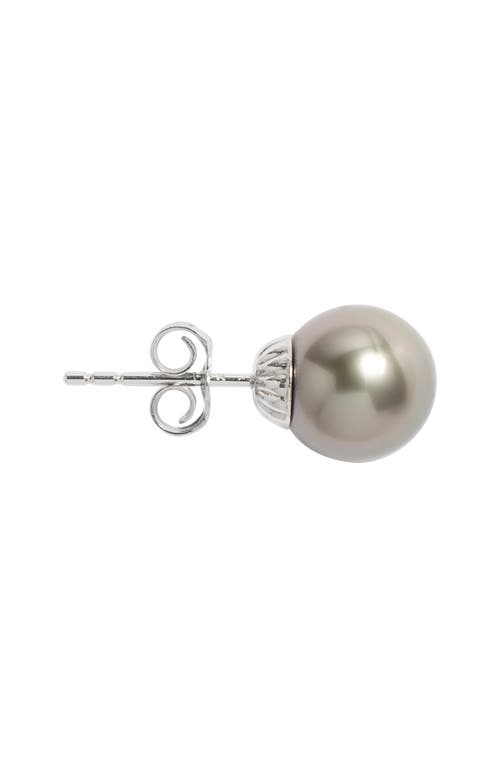 Nordstrom Tahitian Pearl Stud Earrings In Neutral