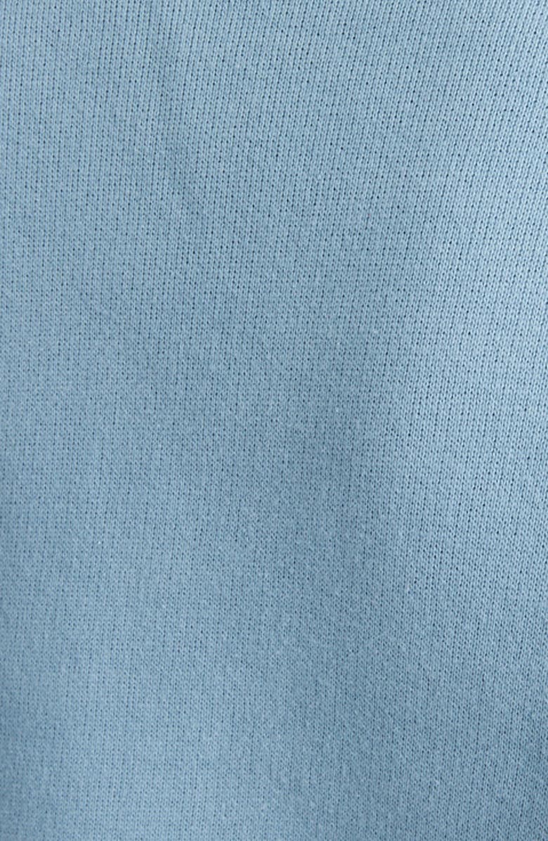 Acne Studios Ferd Quarter Zip Cotton Sweatshirt, Alternate, color, 