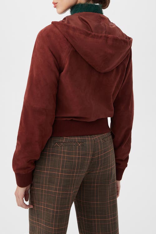 Trina Turk Dalma Suede Hooded Jacket In Brown
