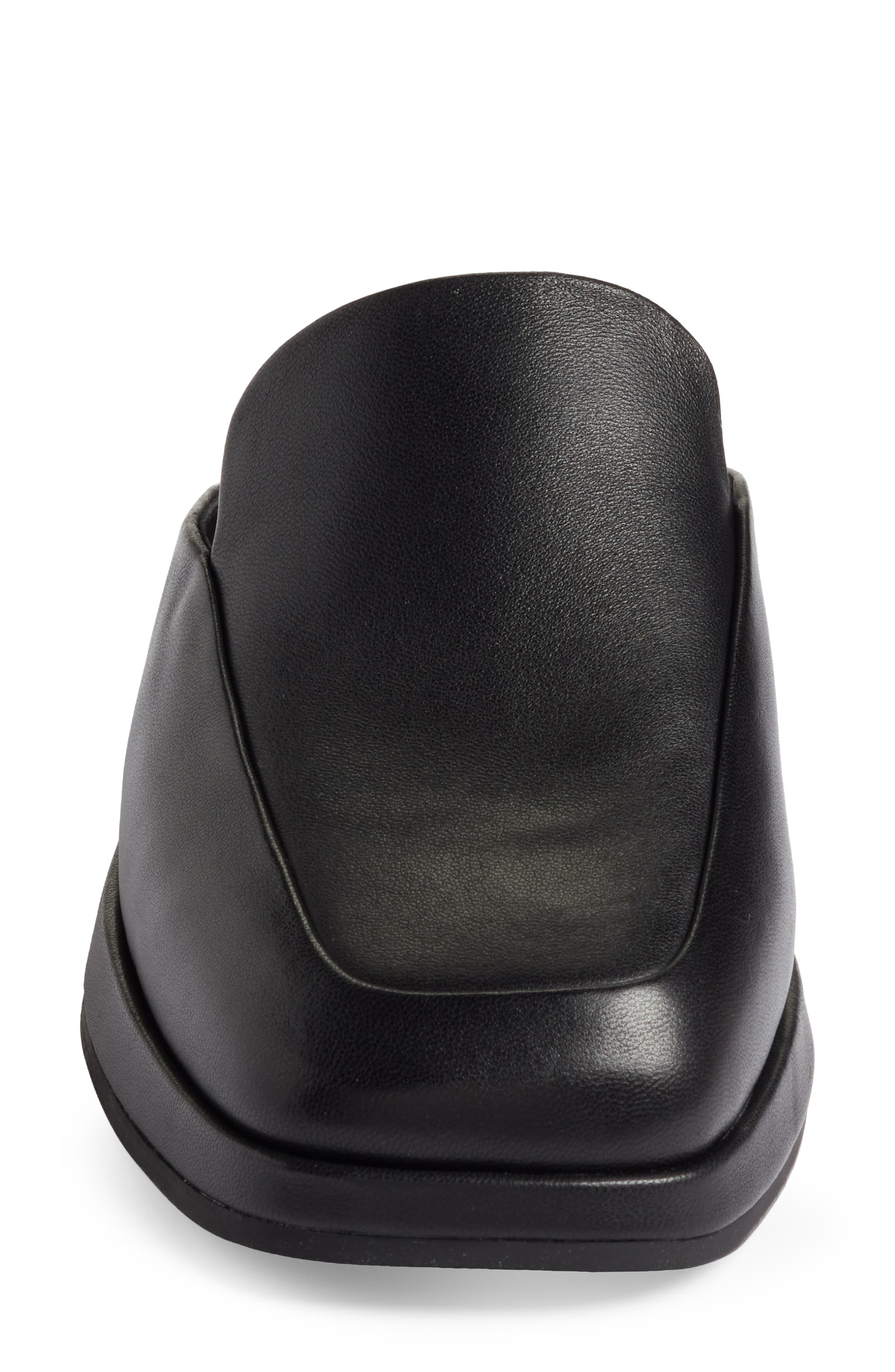 Vince Raquel Mule, Alternate, color, 