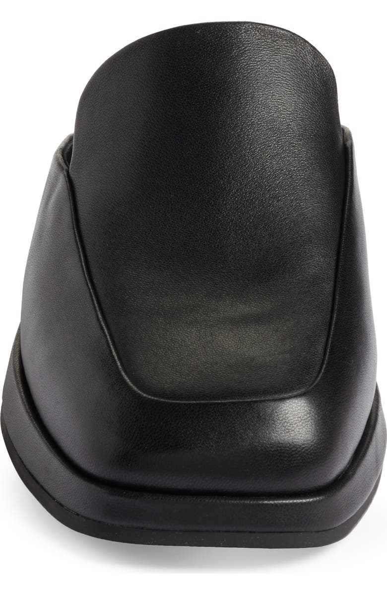 Vince Raquel Mule, Alternate, color,