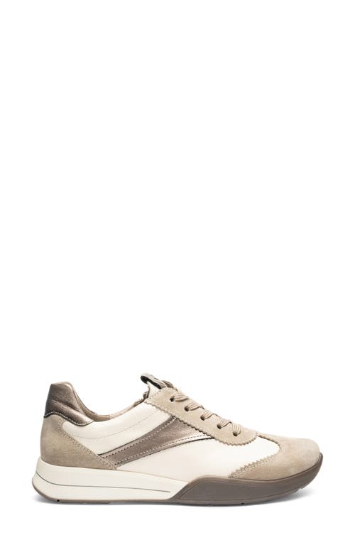 Ara Myrtle Sneaker In Neutral