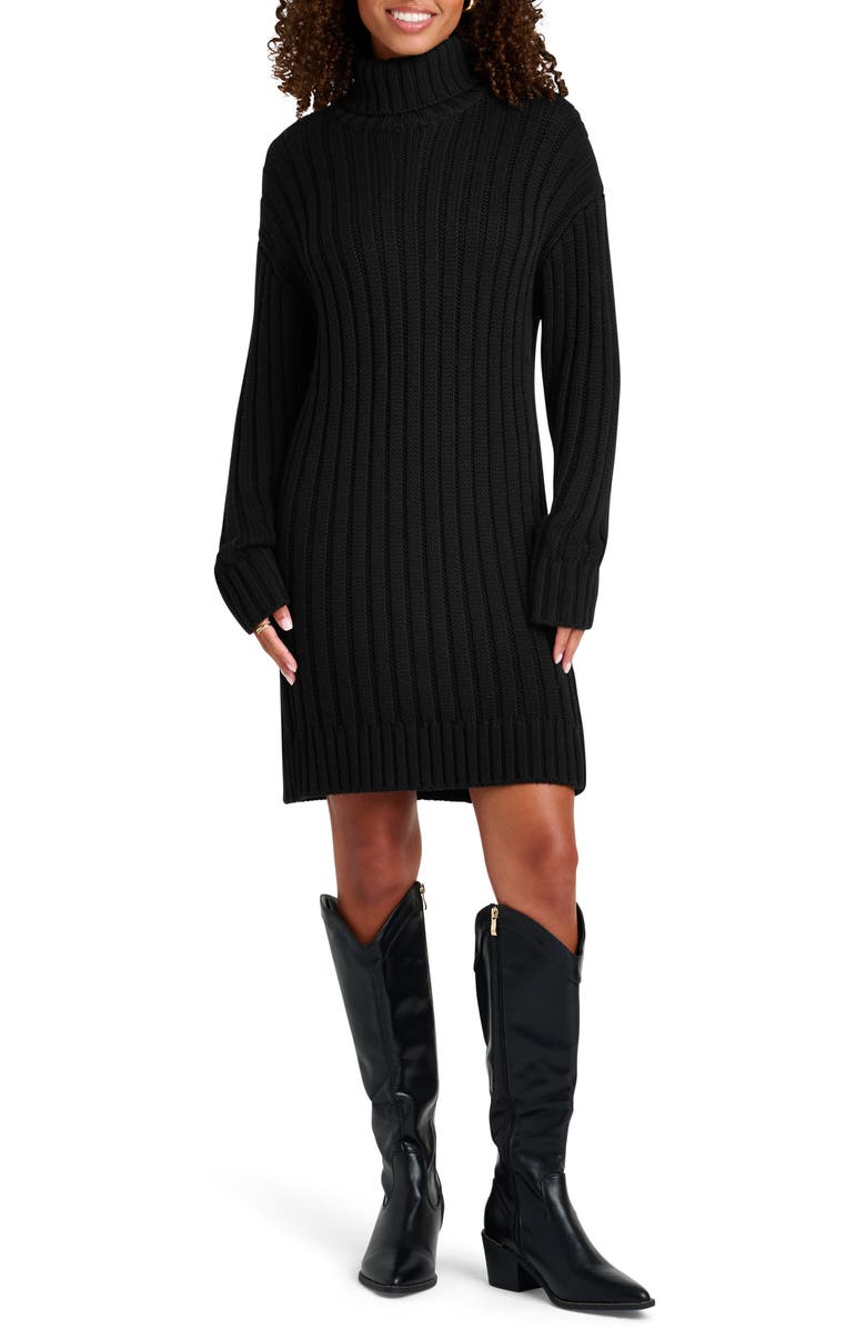 Splendid Felicity Turtleneck Long Sleeve Mini Sweater Dress, Main, color,