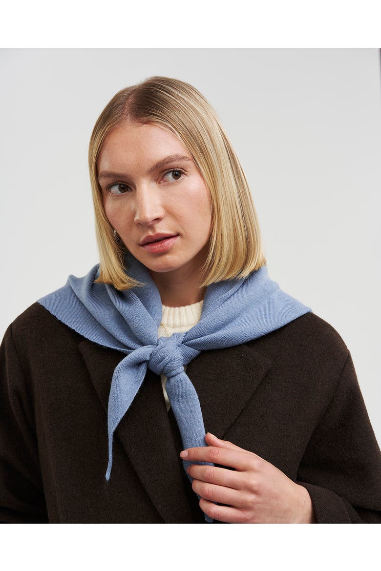 Hedgehog Embroidered Knitted Triangle Scarf, Alternate, color, Blue
